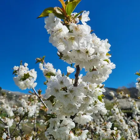 El Arrecorzo By #cherrygredos Apartamento El Arenal (Castile and Leon)
