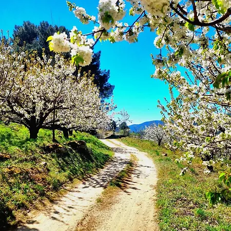 El Arrecorzo By #cherrygredos Apartamento