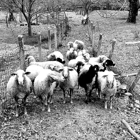 El Arrecorzo By #cherrygredos * El Arenal (Castile and Leon)