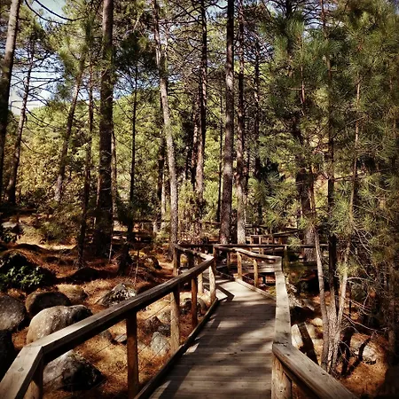 El Arrecorzo By #cherrygredos *