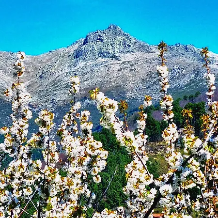 El Arrecorzo By #cherrygredos Apartamento El Arenal (Castile and Leon)