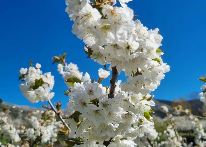 El Arrecorzo By #cherrygredos Lejlighed El Arenal (Castile and Leon)