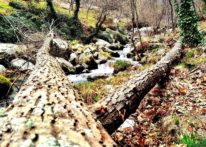 El Arrecorzo By #cherrygredos * El Arenal (Castile and Leon)