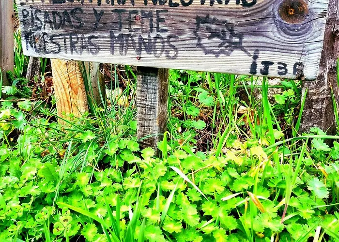 El Arrecorzo By #cherrygredos