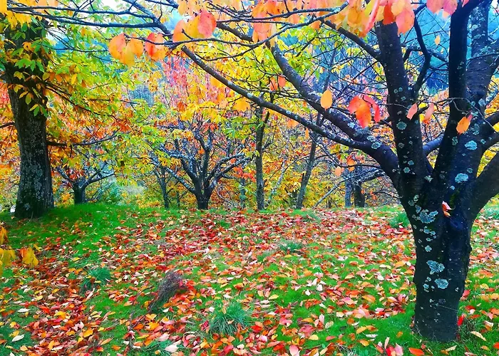 El Arrecorzo By #cherrygredos *