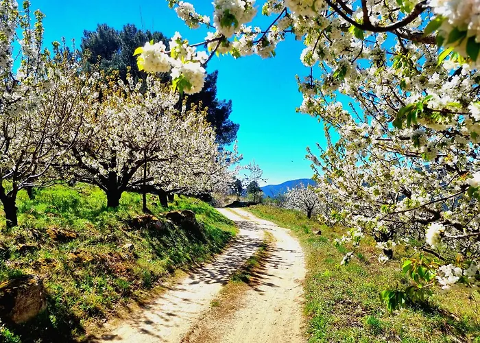 El Arrecorzo By #cherrygredos Lejlighed