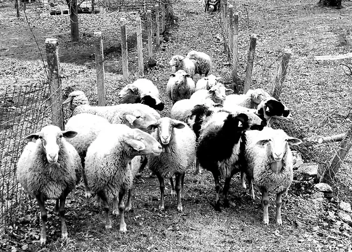 El Arrecorzo By #cherrygredos * El Arenal (Castile and Leon)