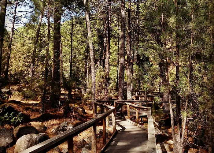 El Arrecorzo By #cherrygredos *