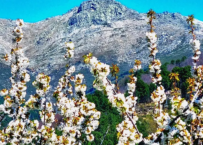 El Arrecorzo By #cherrygredos Lejlighed El Arenal (Castile and Leon)
